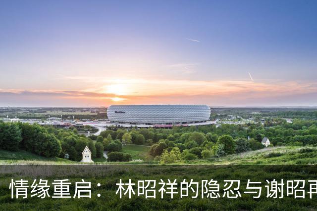 情缘重启：林昭祥的隐忍与谢昭再婚背后的真实故事